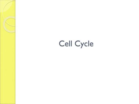 Cell Cycle.