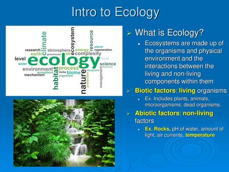 Intro to Ecology What is Ecology?