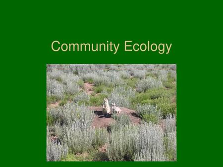 Community Ecology.