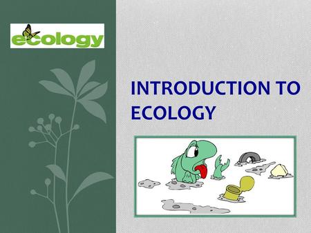 Introduction to Ecology