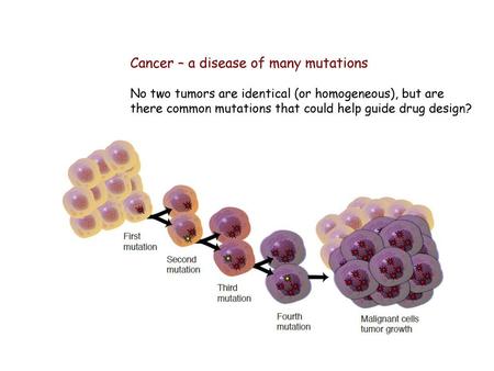 Cancer – a disease of many mutations