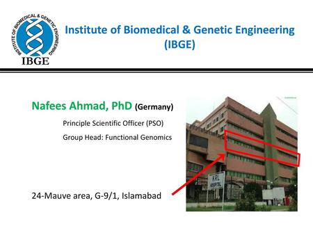 Institute of Biomedical & Genetic Engineering (IBGE)