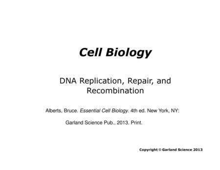 DNA Replication, Repair, and