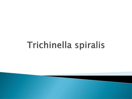 Trichinella spiralis.