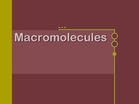 Macromolecules.