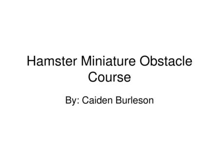 Hamster Miniature Obstacle Course