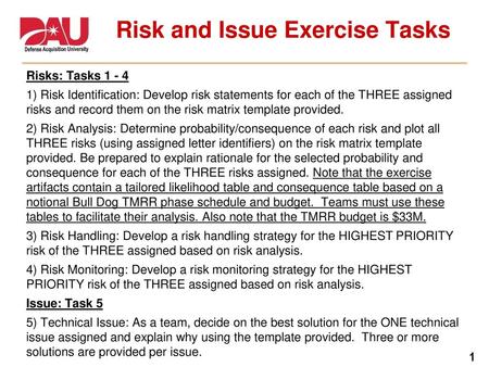 Risk and Issue Exercise Tasks