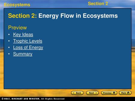 Section 2: Energy Flow in Ecosystems