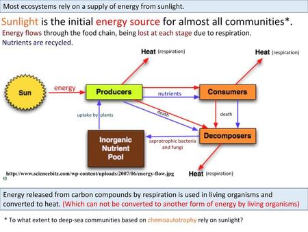 Most ecosystems rely on a supply of energy from sunlight.