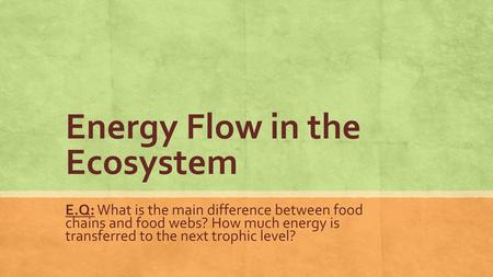 Energy Flow in the Ecosystem