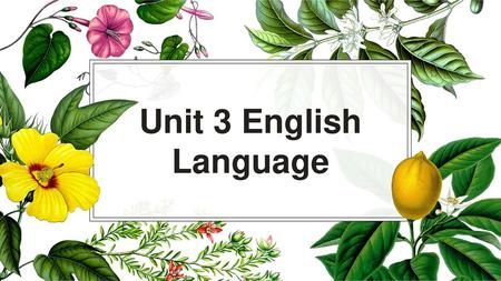 Unit 3 English Language.