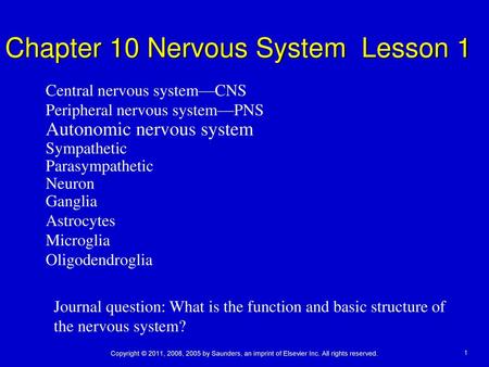 Chapter 10 Nervous System Lesson 1