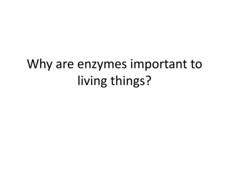 Why are enzymes important to living things?