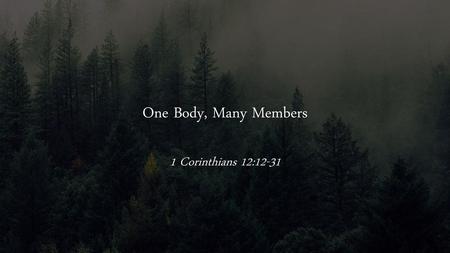 One Body, Many Members 1 Corinthians 12:12-31.