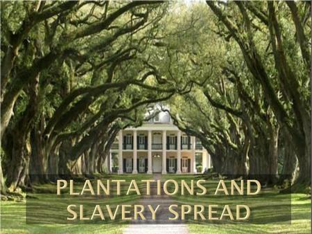 Plantations and Slavery Spread