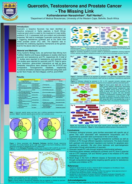 Quercetin, Testosterone and Prostate Cancer - The Missing Link Kothandaraman Narasimhan1, Ralf Henkel1, 1Department of Medical Biosciences, University.