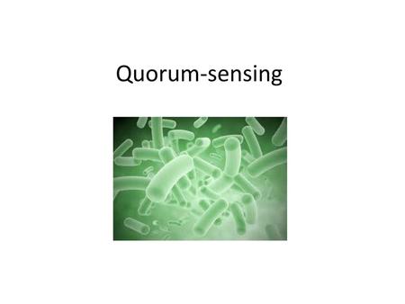 Quorum-sensing.