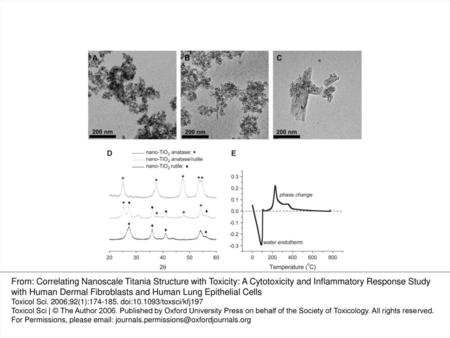 FIG. 1. Characterization data of nano-TiO2 samples, including TEM images of nano-TiO2 particles in its (A) anatase, (B) anatase/rutile.