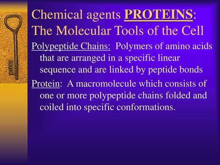 Chemical agents PROTEINS: The Molecular Tools of the Cell