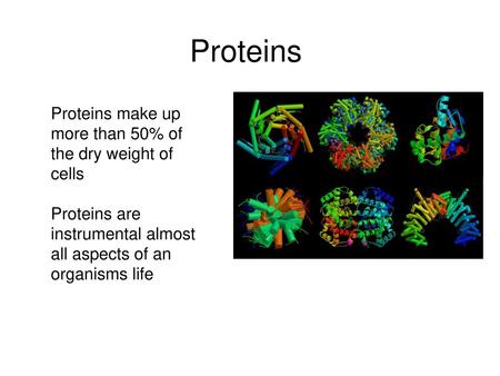 Proteins Proteins make up more than 50% of the dry weight of cells