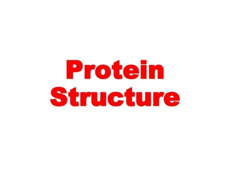 Protein Structure.