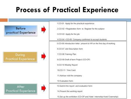 Process of Practical Experience