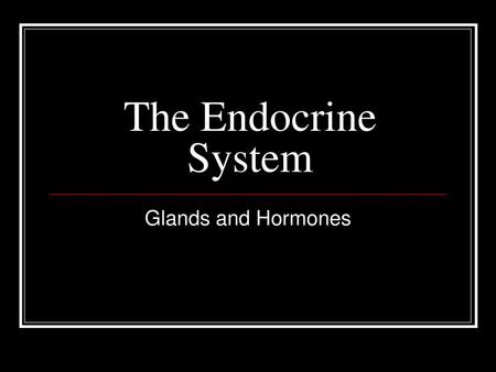 The Endocrine System Glands and Hormones.