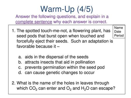 Warm-Up (4/5) Answer the following questions, and explain in a complete sentence why each answer is correct. Name Date Period The spotted touch-me-not,