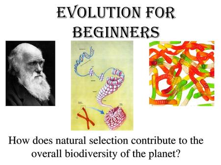 Evolution for Beginners