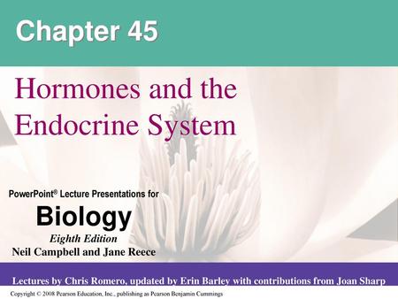 Hormones and the Endocrine System