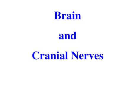 Brain and Cranial Nerves.