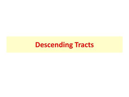 Descending Tracts.