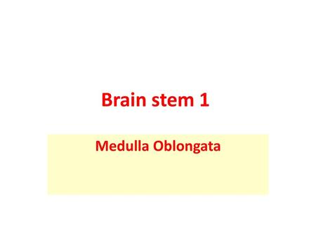 Brain stem 1 Medulla Oblongata.