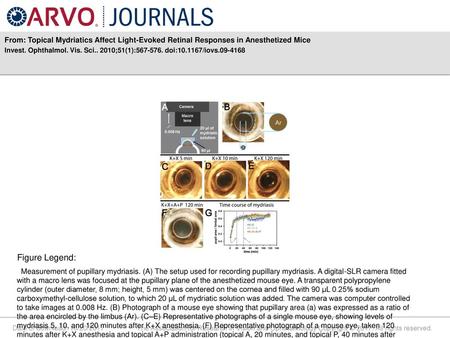 Invest. Ophthalmol. Vis. Sci ;51(1): doi: /iovs Figure Legend: