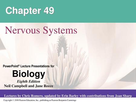 Chapter 49 Nervous Systems.