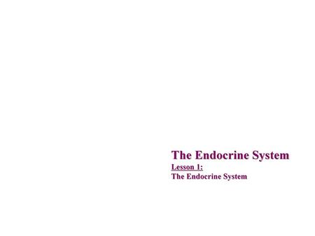 The Endocrine System Lesson 1: