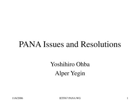 PANA Issues and Resolutions