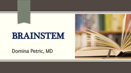 Brainstem Domina Petric, MD NOTE: