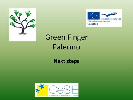 Green Finger Palermo Next steps.