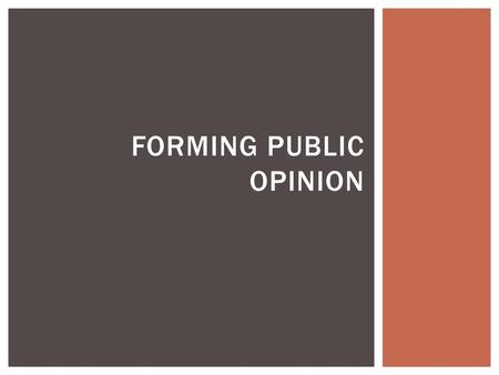 Forming Public Opinion