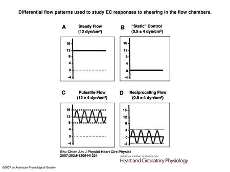 Differential flow patterns used to study EC responses to shearing in the flow chambers. Differential flow patterns used to study EC responses to shearing.