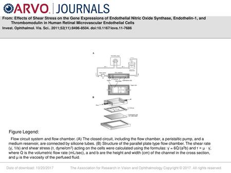 From: Effects of Shear Stress on the Gene Expressions of Endothelial Nitric Oxide Synthase, Endothelin-1, and Thrombomodulin in Human Retinal Microvascular.