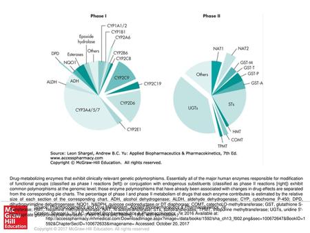 Drug-metabolizing enzymes that exhibit clinically relevant genetic polymorphisms. Essentially all of the major human enzymes responsible for modification.