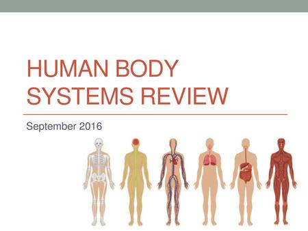 Human Body Systems Review