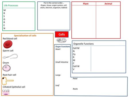 Specialisation of cells