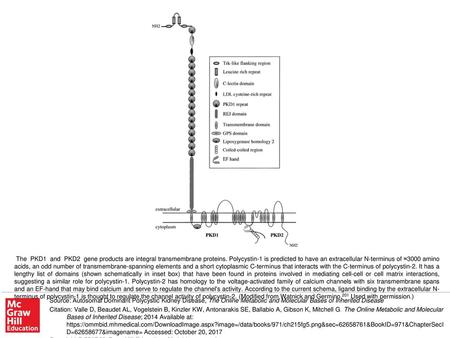 The PKD1 and PKD2 gene products are integral transmembrane proteins