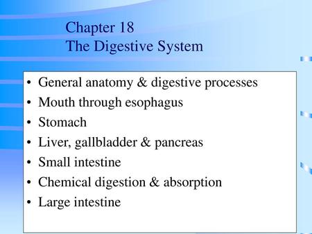 Chapter 18 The Digestive System