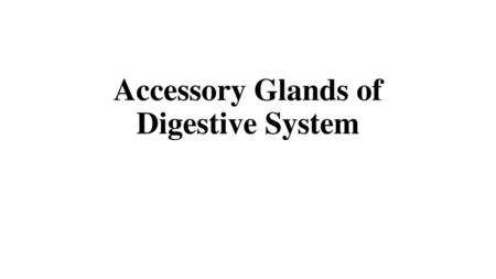 Accessory Glands of Digestive System