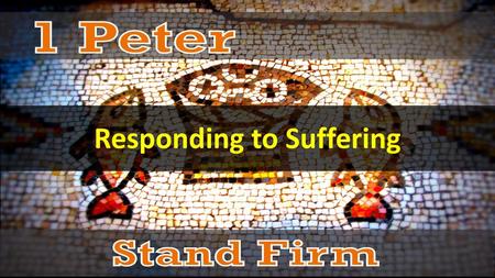 Responding to Suffering