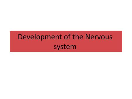 Development of the Nervous system